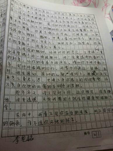 初中一年级写作作文：一个引人注目的小人物_650个单词