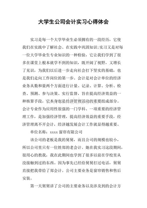 大学生会计实习经验