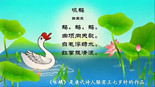 翼鹅_300个单词