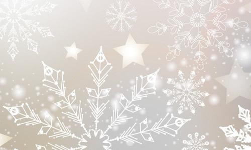 Snowflake_600字