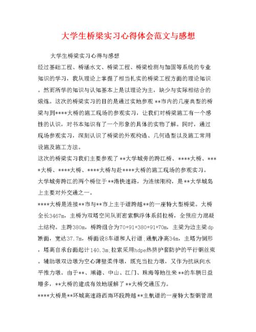 实习经验论文样本