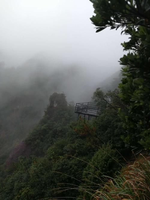 秋天在雨中_650字