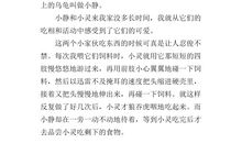 动物优美段落：可爱的小乌龟段落_600字