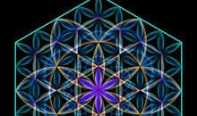 让感恩之树开出生命之花_800字