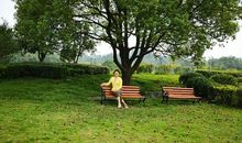 秋游银杏湖_650字