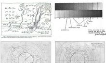 四年级日记：美丽的日全食_200字