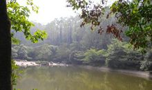 府山公园秋游_400字