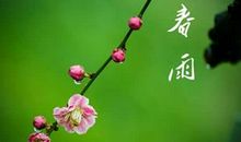 鲜艳的花儿不能摘_600字