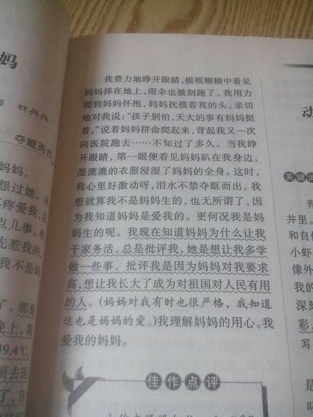 三年级的延续，重写和扩展：耳朵和铃铛之后的作文_600字
