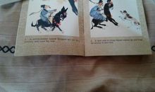 续编东郭先生和狼_700字