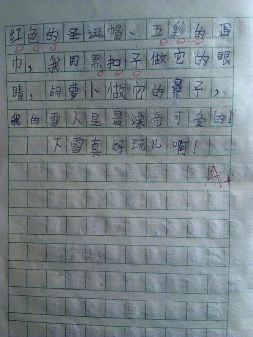 四年级日记：下雪了350个单词