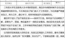 机械专业顶岗实习总结报告（一）