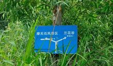 高一作文：望天石1_2000字