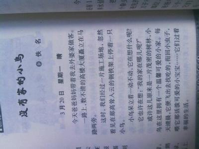 在学校里整理事物_250字