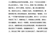 关于温暖的作文：让眼中充满温暖_1200字