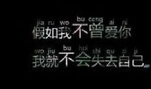 我和电脑_800字