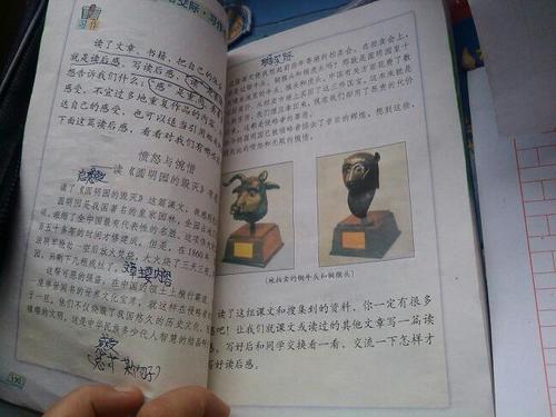 阅读“学着看医生”后不同的母爱观念_800字
