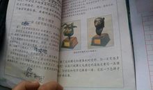 与众不同的母爱——读《学会看病》有感_800字