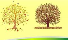 四季如人生_500字