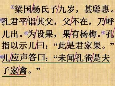 杨氏之子（扩展版）_350字