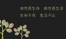 这也是阅读_500字