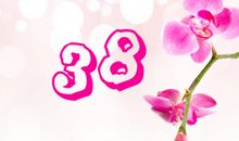 关于妇女节的作文：宝典：四气质让女人可爱到骨子里_1500字