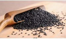 对芝麻的研究_1000字