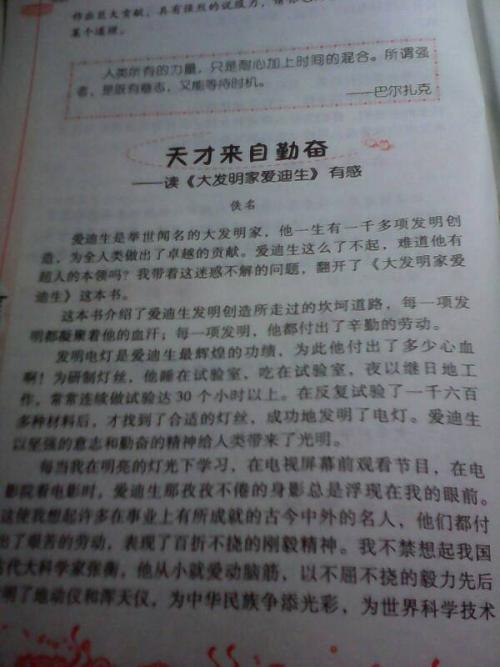 关于“赵州大桥” _600字的思考