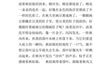 阅读的滋味_600字