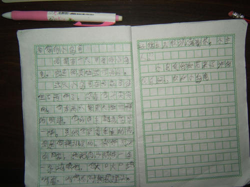 小学二年级下的写作：tortoise_800 words