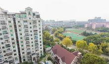 窗外的金苹果_900字