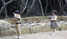 重返原始社会_1200字