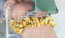 初二状物作文：我的宠物鹦鹉_750字