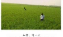 熟悉的陌生人_900字