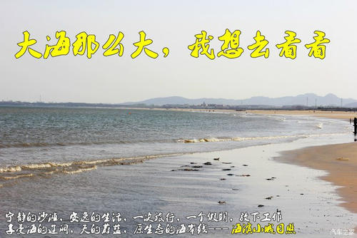 暑假写真旅行_350字