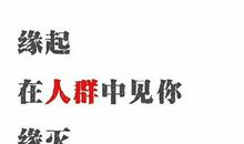 阅读，妙不可言_700字