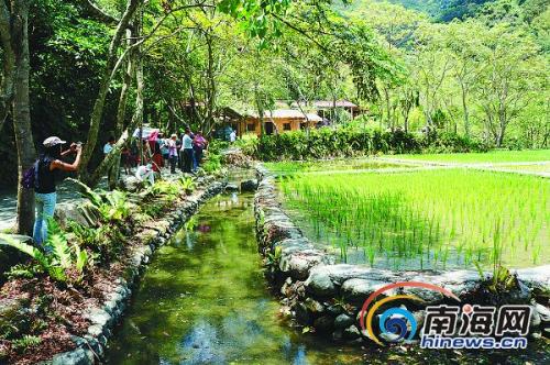 另一个乡村生活_1500个单词