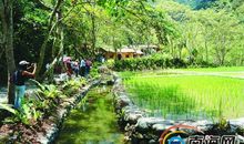 另一种乡村生活_1500字