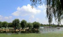 美丽的南湖公园_400字