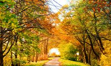 描写秋天的优美段落精选