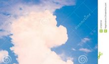 光的天空下_550字