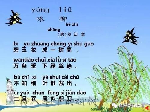 翼柳250字