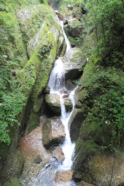 夏季_800字爬青城山