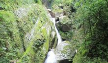 暑假登青城山_800字