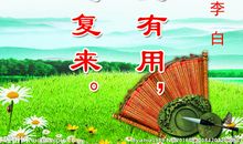 有关读书的名言事例