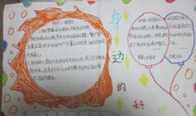 关于科技的作文：走进科学的快乐_800字