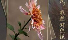 还记得寂寞弥漫天际_1500字