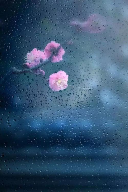 爱在秋雨中_1200字