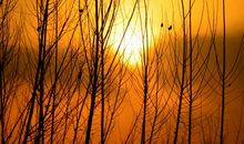 一切尽在不言中_700字