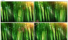 竹叶，飘_1200字